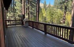 100 Timber Lane, Markleeville, CA 96120