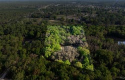 5889 NE 43rd Lane Road, Silver Springs, FL 34488