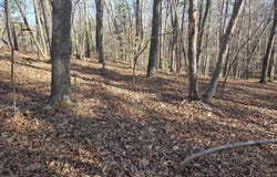 Hopkins Rd, Rocky Mount, VA 24151