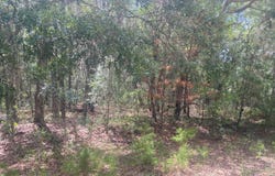 6 LOUISE Avenue, Interlachen, FL 32148