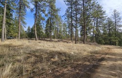 2252 E Badger Rd, Harrison, ID 83833