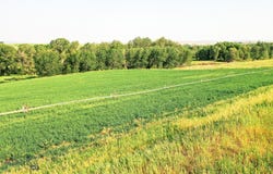 NHN Shields River Road, Wilsall, MT 59086