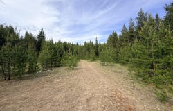 TBD SCHLEGEL RANCH RD, IONE, WA 99139
