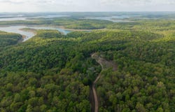 178 Round Robin Lane, Theodosia, AR 65761