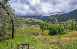 1 Pennyroyal Lane, Prather, CA 93651