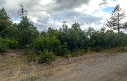 1781, Chama, NM 87520