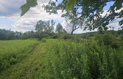 8083 Link Rd, Rome, NY 13440