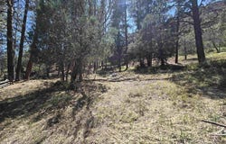 238 Pine Ridge, Ridgway, CO 81432