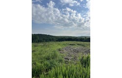 000 Terrace Lane, Cape Fair, MO 65624