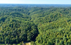 Tbd Banks Fork Road, Campton, KY 41301
