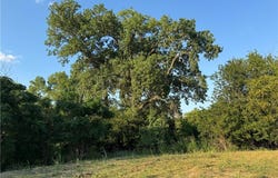4401 Trimmier Road, Killeen, TX 76542