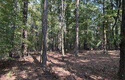 CR 424, OXFORD, MS 38655