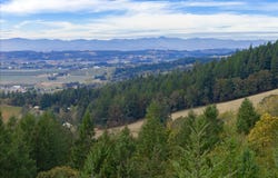 NE Slope Ln, Newberg, OR 97132