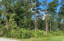 3 Ryarbor Drive, Palm Coast, FL 32164