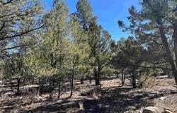 Badger Trail S, Ridgway, CO 81432