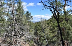Snowy way, Cotopaxi, CO 81223