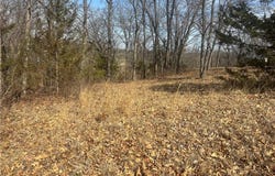 Lot 3109 Lake Viking Terrace, Altamont, MO 64620