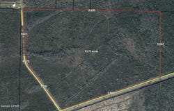 0000 W Sr 20, Blountstown, FL 32424