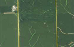 300th St. at 140th Ave., Ryan, IA 52330