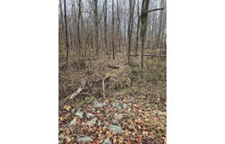 12662 Hampton Road, Rougemont, NC 27572