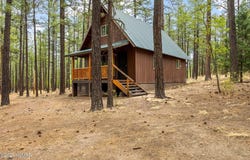 19 Hillcrest Drive, Alpine, AZ 85920