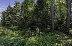 Pcl 31 MALLARD LANDING RD, Presque Isle, WI 54557