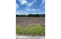Lot B-3 Reeves Farm Road, Saint George, SC 29477