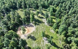 County Road Ff-459, Birch Tree, MO 65438