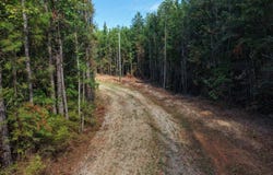 5291 CR-51, Greensboro, AL 36744
