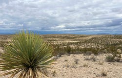 Esperanza, Alpine, TX 79830