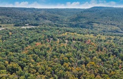 6436 Smith Mountain Rd, Crab Orchard, TN 37723