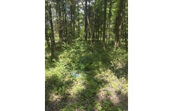 1084 Pickens Chapel, Letona, AR 72143