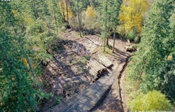Viewcrest Dr, Warren, OR 97053