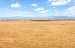 County Road 51, Ault, CO 80610