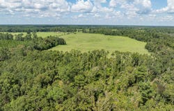 Wellborn, FL 32094