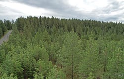 TBD 2 Elo Road, McCall, ID 83638