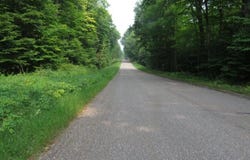 10712 S SPRUCE ST, HULBERT, MI 49748