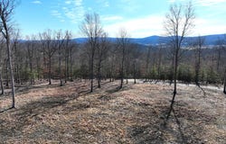 LOT 5 JASON LANE, RIDGELEY, WV 26753