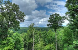 897 Faraday Drive, Ellijay, GA 30540