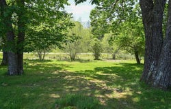488 Bog Road, Hermon, ME 04401