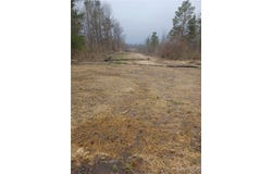 Wilson Road, Collins, NY 14034