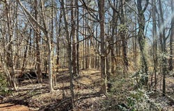 01 Lurecliff Place, Fort Mill, SC 29708