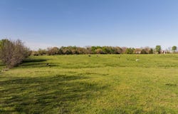000 N Farm Road 91, Willard, MO 65781
