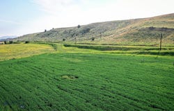 NHN Shields River Road, Wilsall, MT 59086