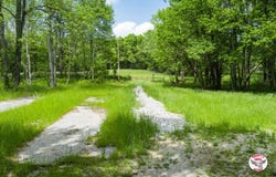 0 Beaty Creek Rd., Albany, KY 42602
