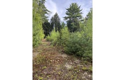 5 Bog Brook Loop, West Paris, ME 04289