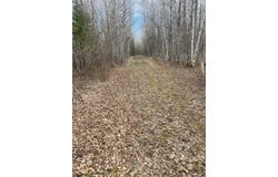COUNTY ROAD 79, Littlefork, MN 56649