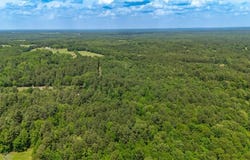 Tbd Tract 13 County Road 3273, Quitman, TX 75783