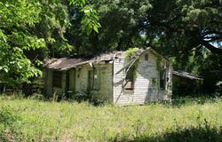 21646 NW 58TH COURT, MICANOPY, FL 32667