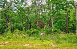 Lot 16 Lake Top Lane, Ellijay, GA 30540